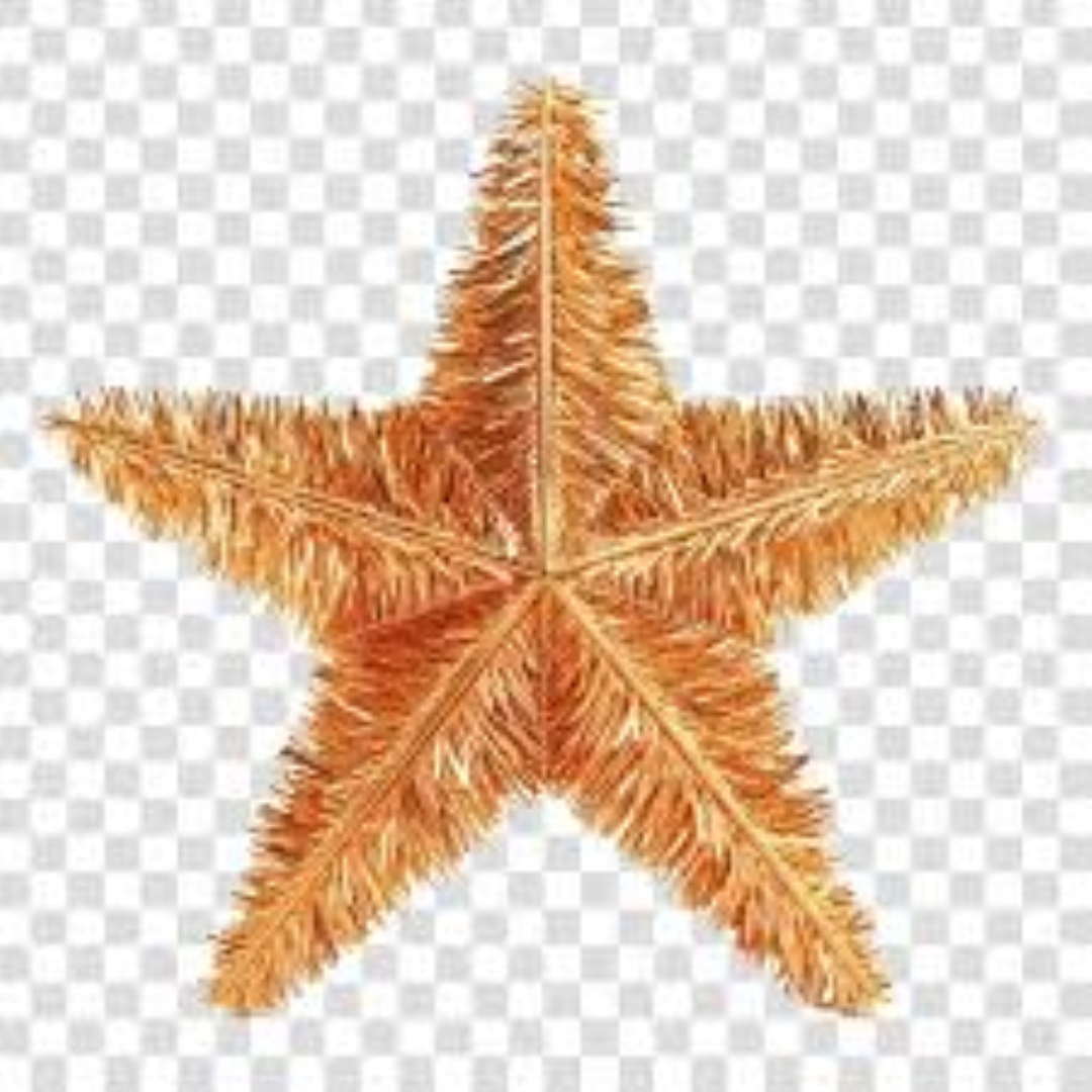 SHINNY CHRISTMAS PET TINSEL W STARS 1622133